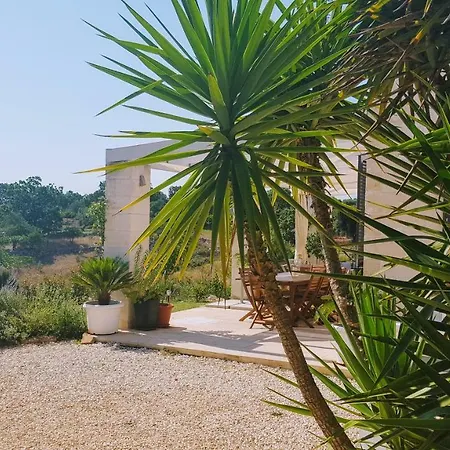 Villa Raffaello *