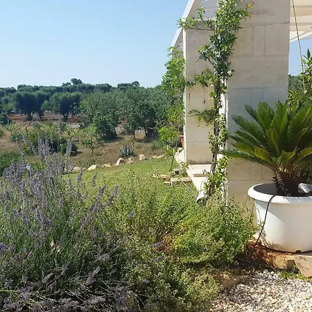 Raffaello Villa *