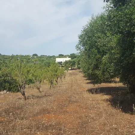 Vila Raffaello