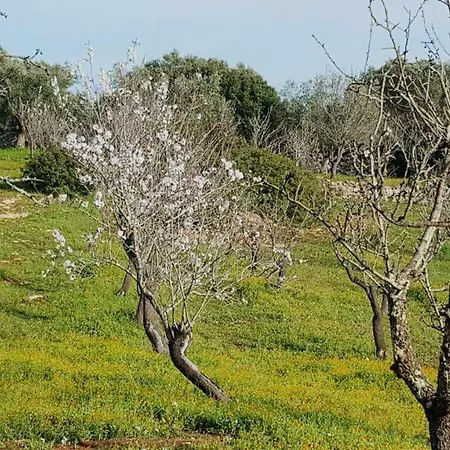 Vila Raffaello Ostuni